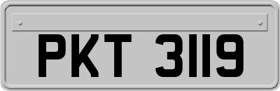PKT3119