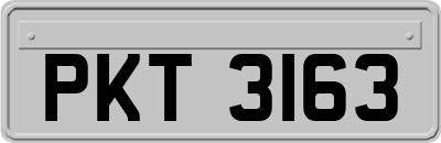 PKT3163