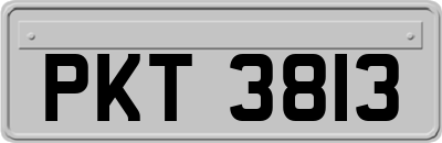 PKT3813