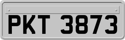 PKT3873