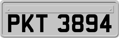 PKT3894