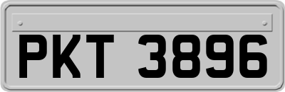 PKT3896