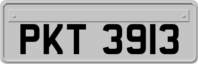 PKT3913