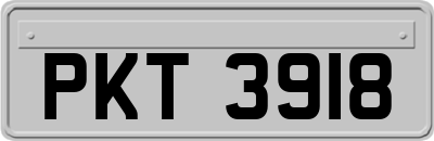 PKT3918