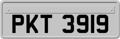 PKT3919