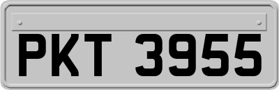 PKT3955
