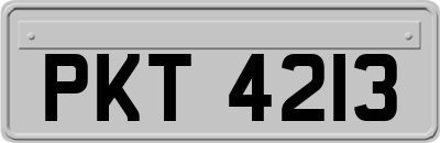 PKT4213