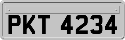 PKT4234