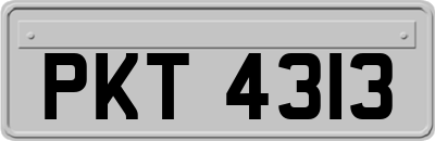 PKT4313