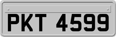 PKT4599