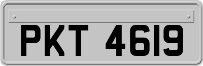 PKT4619