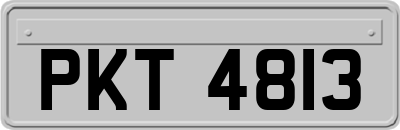 PKT4813