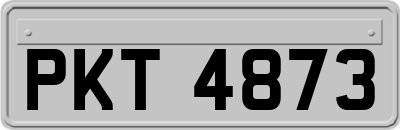 PKT4873