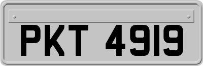 PKT4919