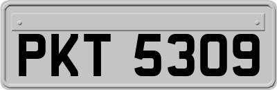 PKT5309