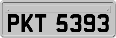 PKT5393