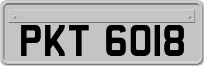 PKT6018