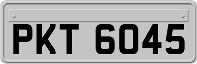 PKT6045