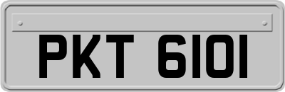 PKT6101