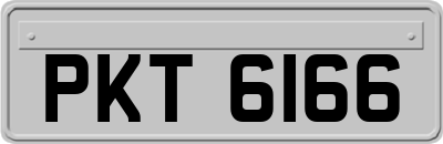 PKT6166