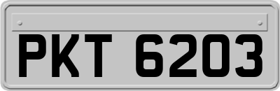 PKT6203