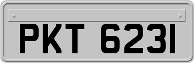 PKT6231