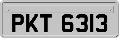 PKT6313