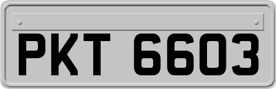 PKT6603