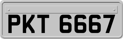 PKT6667