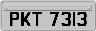 PKT7313