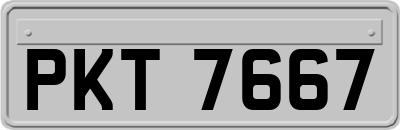 PKT7667