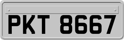 PKT8667
