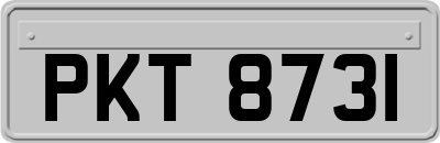 PKT8731