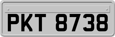 PKT8738