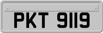 PKT9119