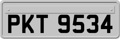 PKT9534