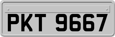PKT9667