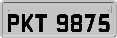 PKT9875