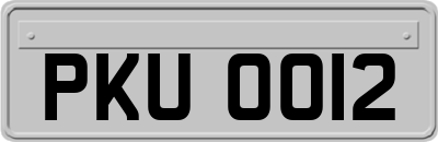 PKU0012