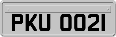 PKU0021