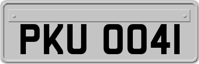 PKU0041