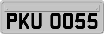 PKU0055