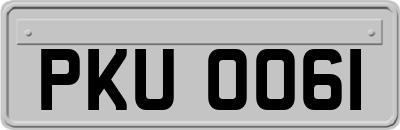 PKU0061