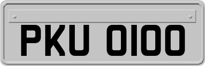 PKU0100