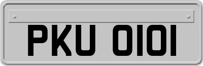 PKU0101