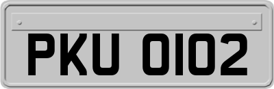 PKU0102