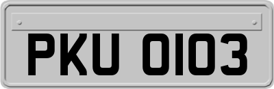 PKU0103