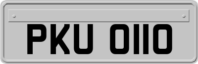 PKU0110