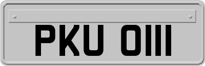 PKU0111