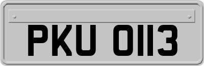 PKU0113